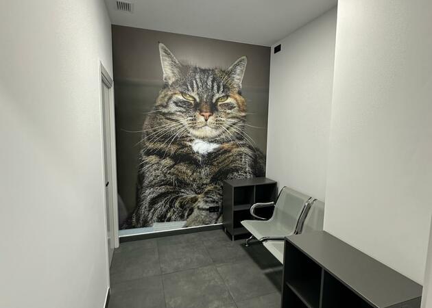 Image gallery Munvet Veterinary Clinic 10