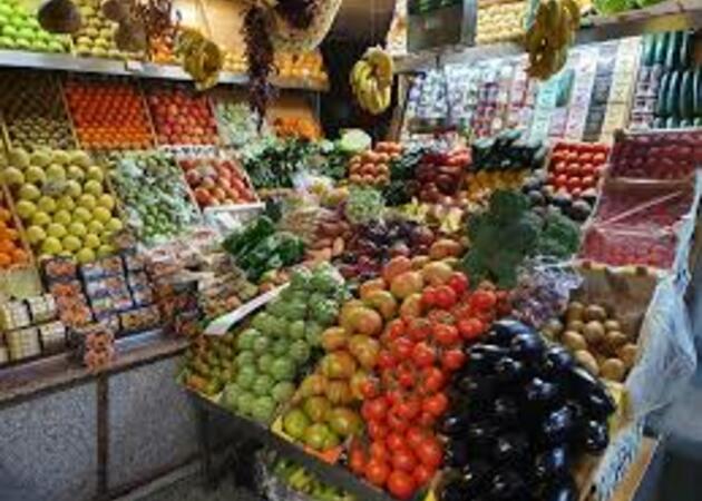 Image gallery THE NOPAL (FRUITS AND VEGETABLES) 1