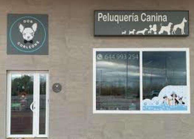 Image gallery DON CORLEONE 1