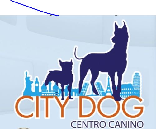 Foto de portada CITY DOG MADRID