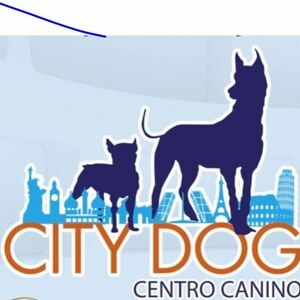 Thumbnail CITY DOG MADRID