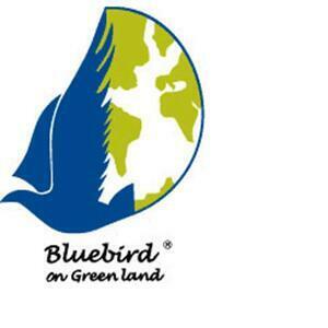 BLUEBIRD ON GREEN LAND