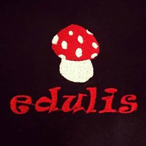 Foto de portada EDULIS