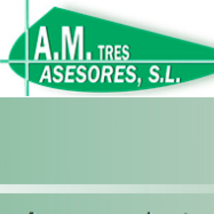 Thumbnail AMTRES ADVISORS
