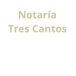 Thumbnail NOTARY ALFONSO GARCÍA-PERROTE LATORRE