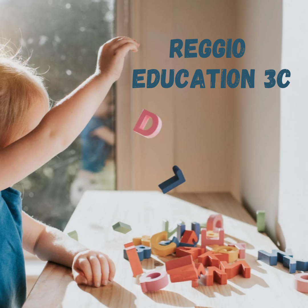 Foto de portada REGGIO EDUCATION 3C
